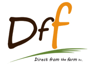 株式会社DFF
